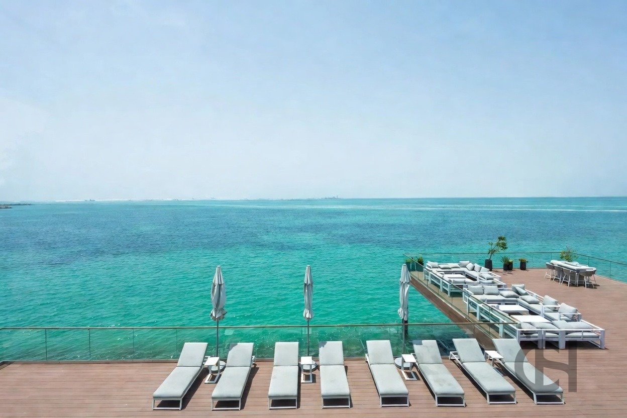 imgi_15_image_result