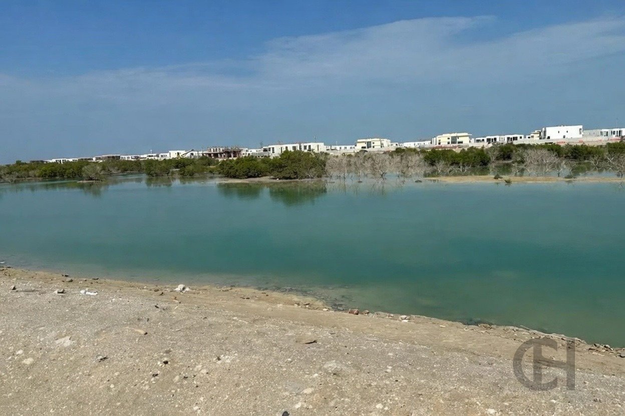 imgi_16_image_result