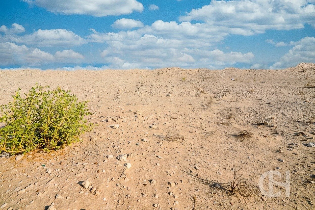 Residential land plot in Wadeem, Al Hudayriat Island