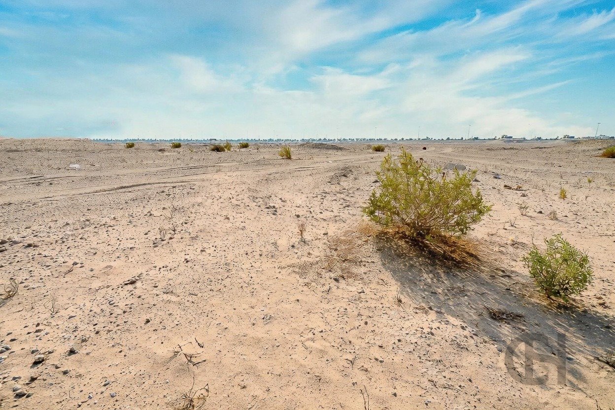 imgi_19_image_result