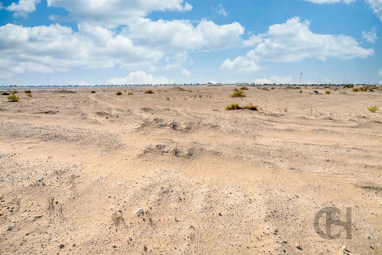 imgi_20_image_result