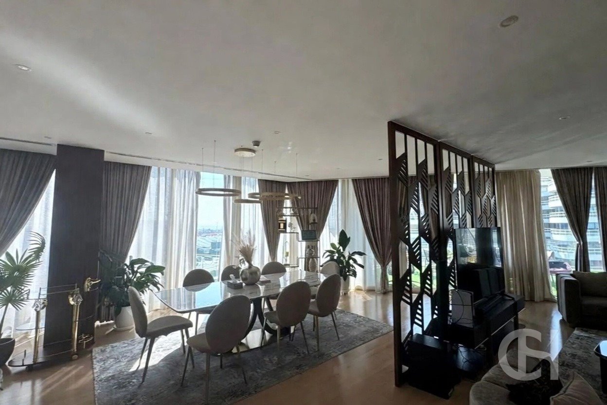 imgi_31_image_result