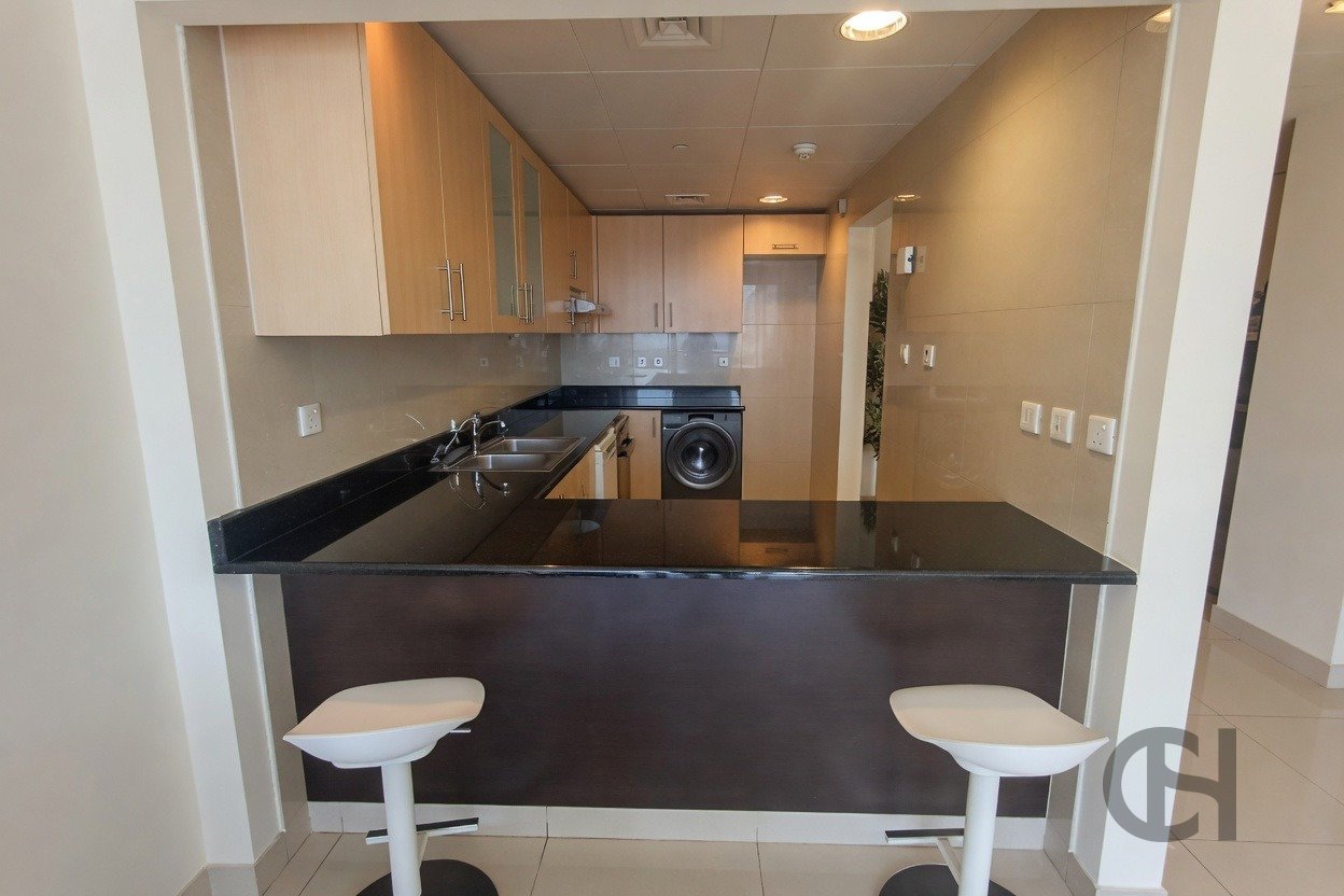 imgi_15_image_result 1BR Apartment for Rent in Sun Tower | Canal view