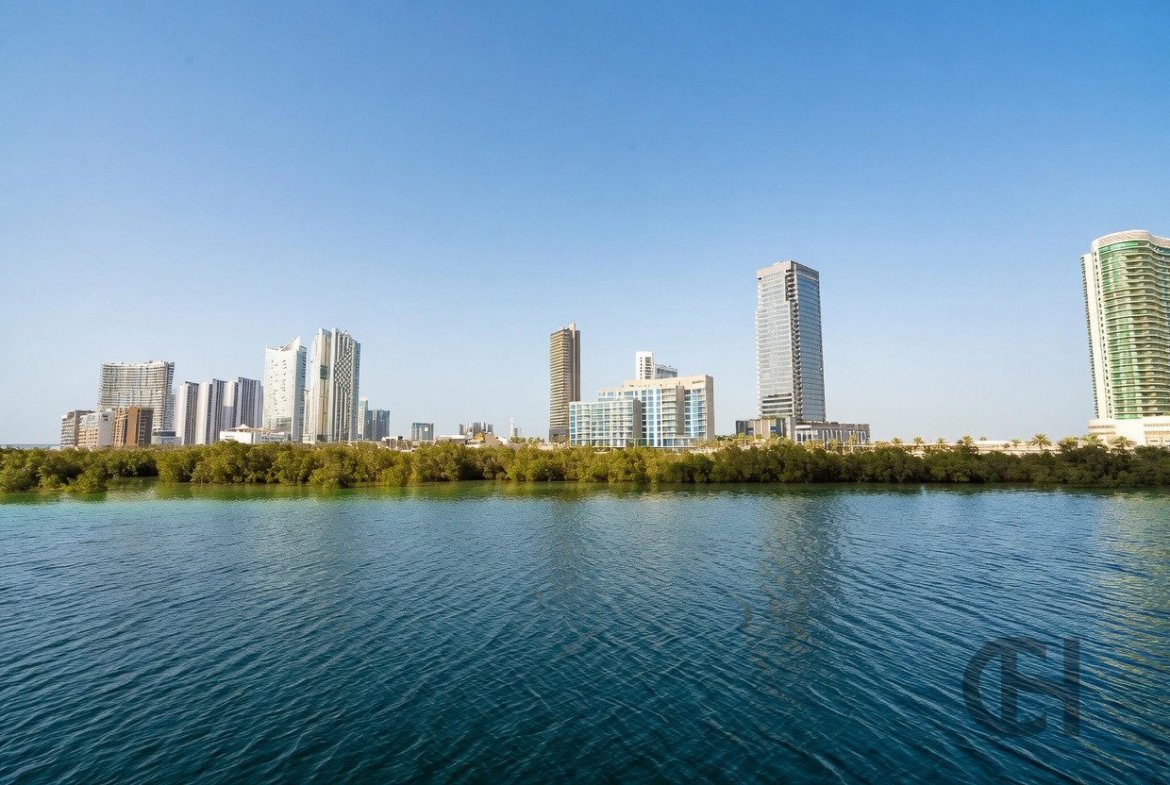 Partly furnished studio apartment in C6 Tower Al Reem Island - photo 11