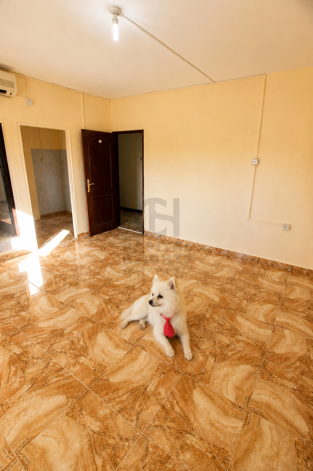 Studio Apartment for Rent in Al Mushrif | Near Abu Dhabi Police College | 1 Parking Space | Monthly or Yearly | 103