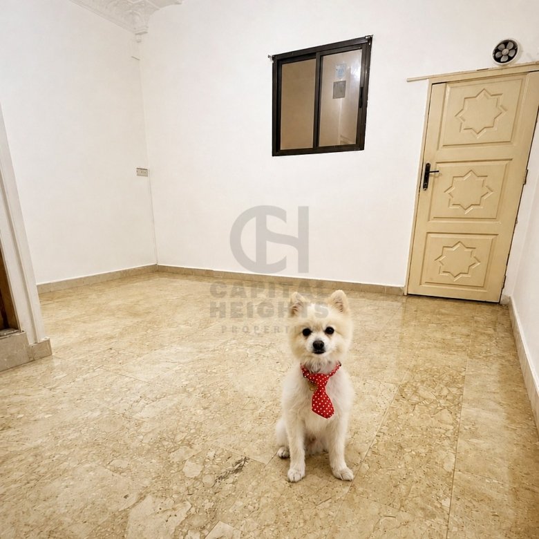 Studio Apartment for Rent in Al Mushrif | Monthly or Yearly | 1064