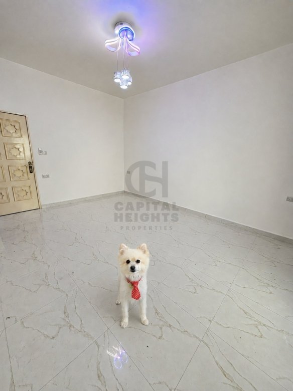 Studio for Rent in Al Manhal | Near Canadian Medical Center CMC | Monthly or Yearly | 1504