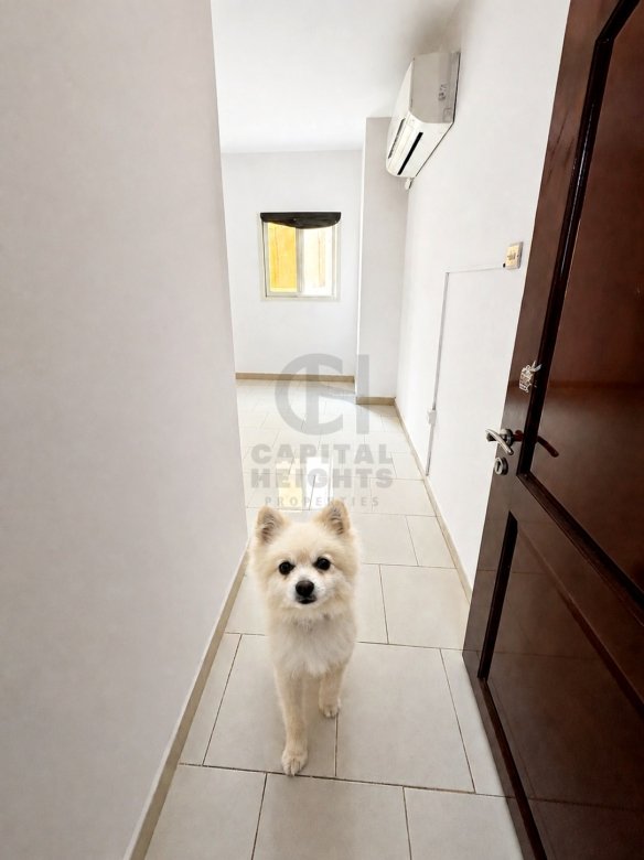 Studio for Rent in Al Wahdah | Near Al Wahda Mall | Monthly or Yearly | 2019