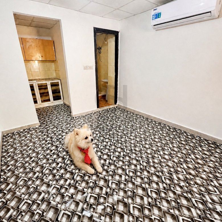 Studio Apartment for Rent in Al Najda Street | Near Burjeel Hospital | Monthly or Yearly | 221