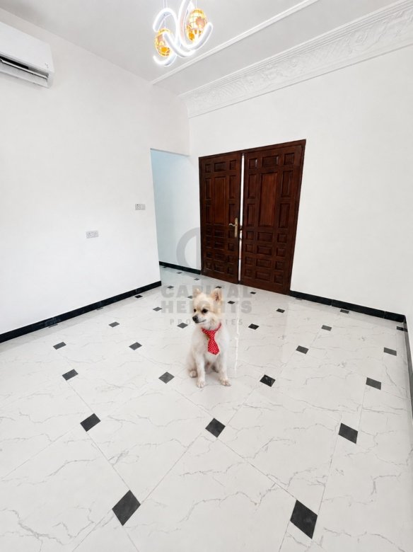 Studio for Rent in Al Muroor | Near Al Reem international School | Monthly or Yearly | 1241