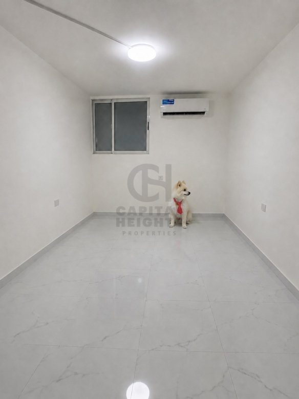 Studio for Rent in Al Nahyan | Near Seha Emirates Hospital | Monthly or Yearly | 1685