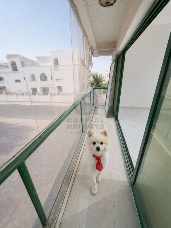 1 Bedroom for Rent in Al Manhal | Near NMC Royal Medical Centre, Delma | Balcony | Monthly or Yearly | 2105