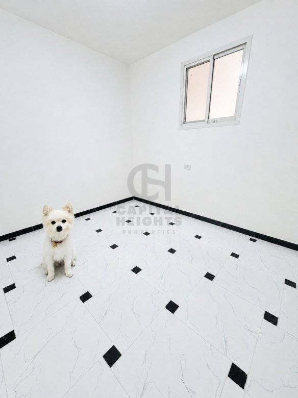 Studio for Rent in Al Muroor | Near Al Reem international School | Monthly or Yearly | 1243