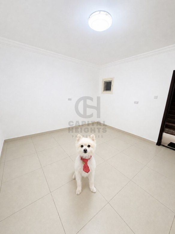 Studio for Rent | Near Al Hosn University | Monthly or Yearly | 1302