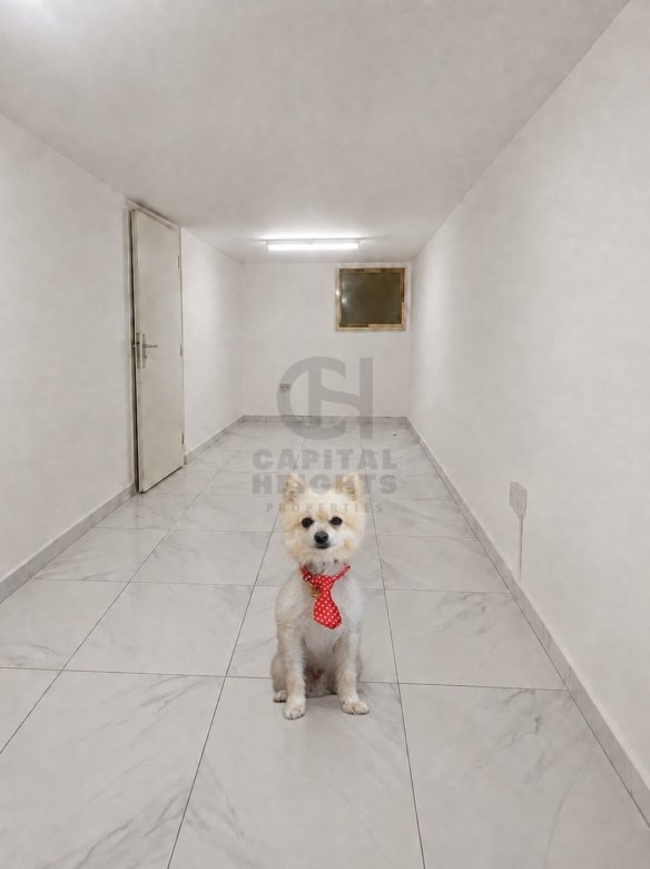Studio for Rent in Al Manhal | Near Al Hosn University | Monthly or Yearly | 1522