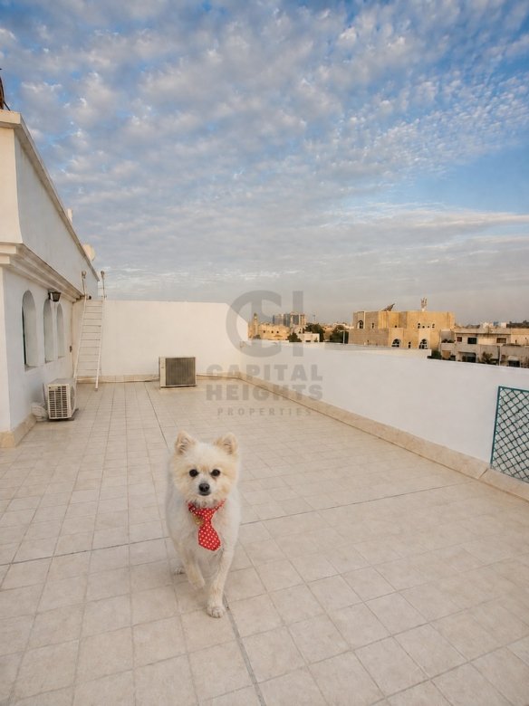 Studio for Rent in Al Khalidiyah | Near Emirates College Of Technology | Terrace | Semi Furnished | Monthly or Yearly | 0394