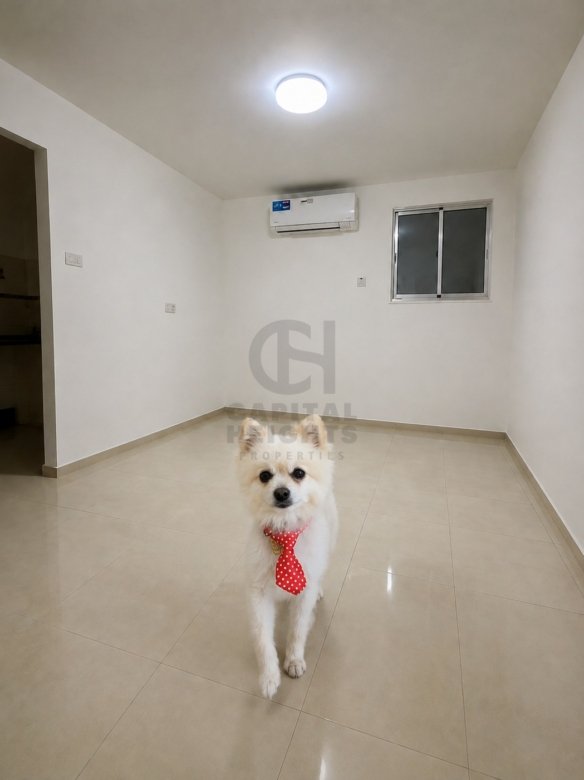 Studio for Rent in Al Mushrif | Near Al Mushrif KG - Charter Schools | Monthly or Yearly | 1095