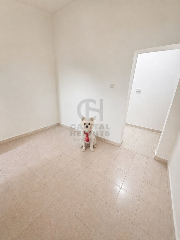 Studio for Rent in Al Zaab | Monthly or Yearly | 1974