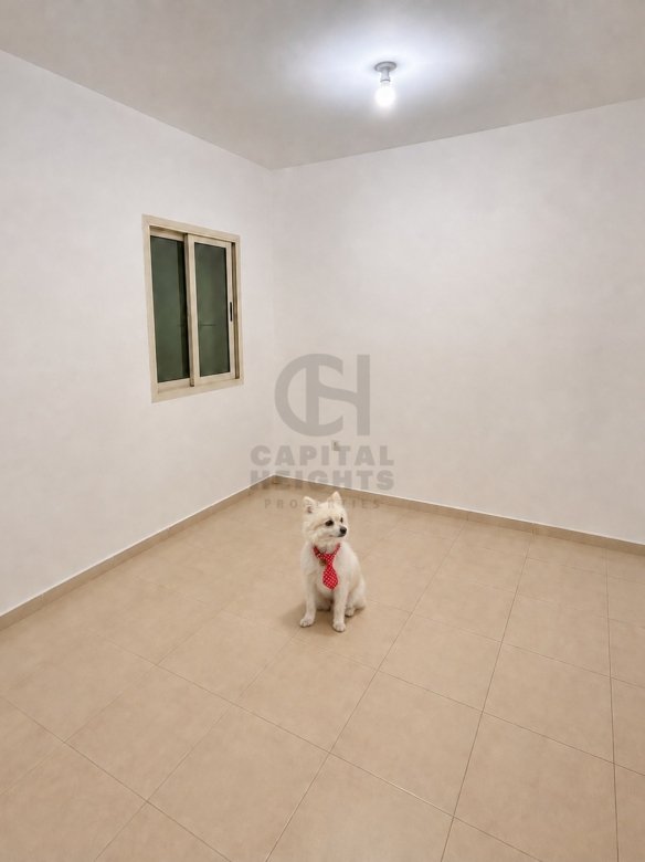 Studio for Rent in Al Nahyan | Near UAEU College of Business and Economics | Monthly or Yearly | 1792