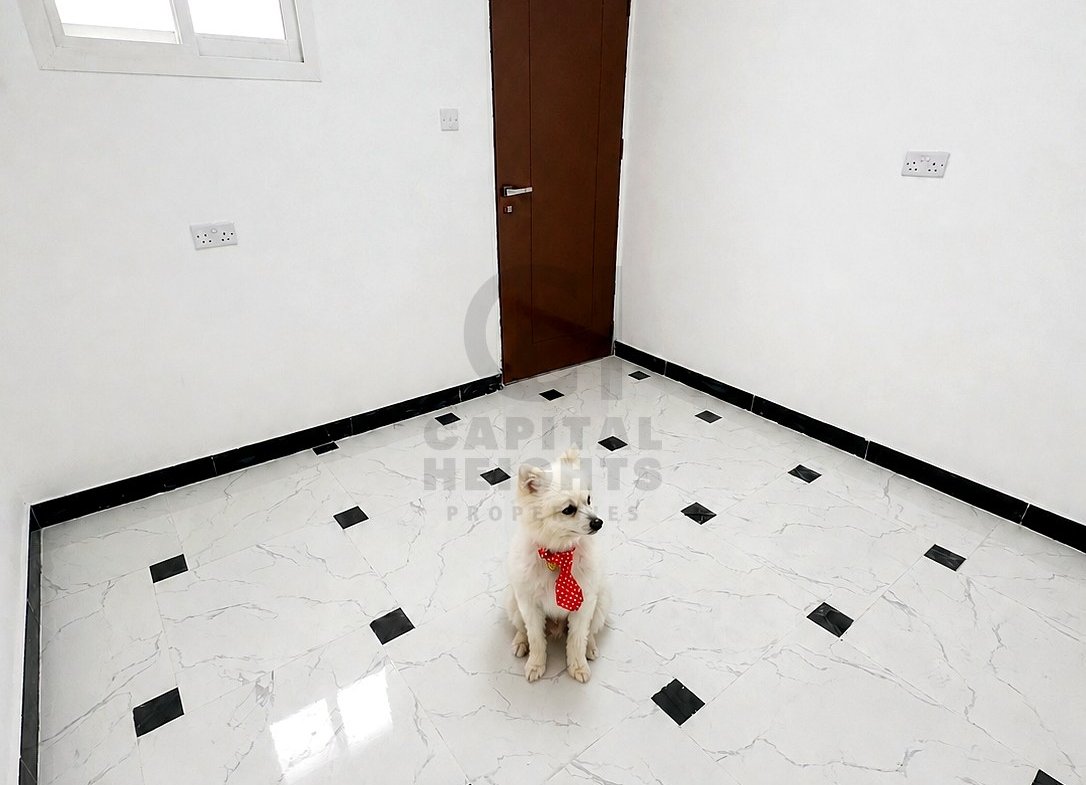Studio Apartment for Rent in Al Muroor | Near Al Reem international School | Monthly or Yearly | 1263