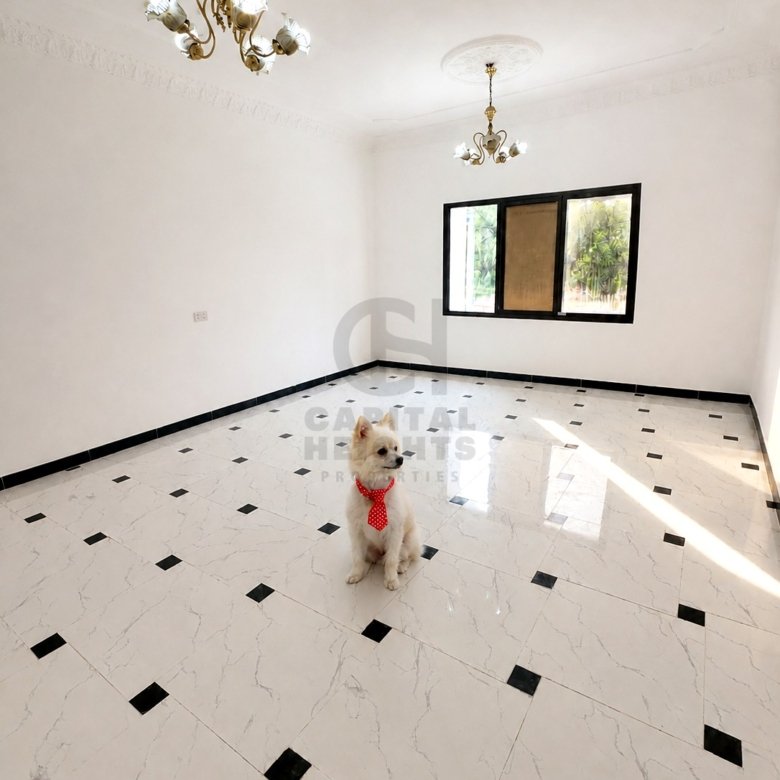 Studio Apartment for Rent in Al Muroor | Near Al Reem international School | Monthly or Yearly | 1251