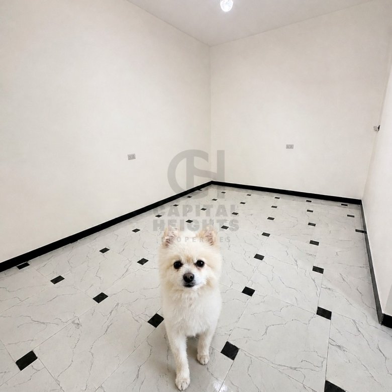 Studio Apartment for Rent in Al Muroor | Near Al Reem international School | Monthly or Yearly | 1252