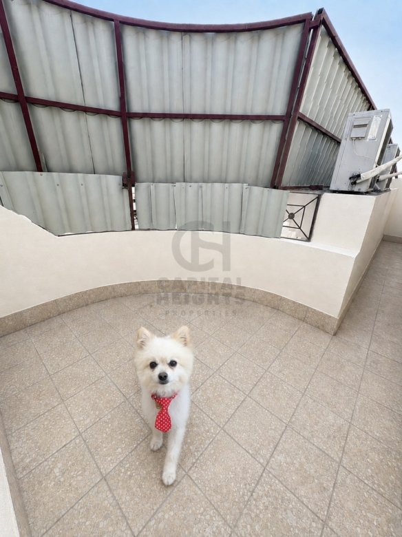 Studio for Rent in Al Nahyan | Near Seha Emirates Hospital | Monthly or Yearly | 1837