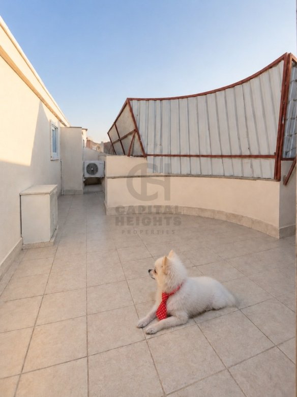 Studio for Rent in Al Nahyan | Near Seha Emirates Hospital | Monthly or Yearly | 1716