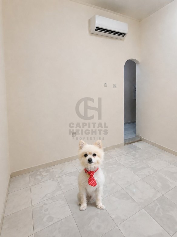Studio for Rent in Al Zaab | Near German International School | Monthly or Yearly | 1905