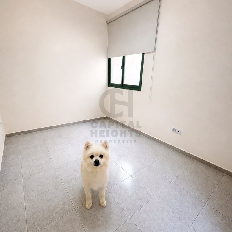 1 Bedroom Apartment for Rent in Al Mushrif | Near National Theare | Monthly or Yearly | 3011