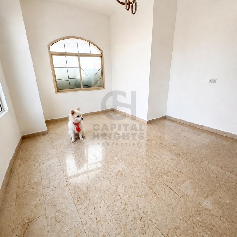1 Bedroom Apartment for Rent in Al Mushrif | Near Mohamed Bin Zayed University | Monthly or Yearly | 1071