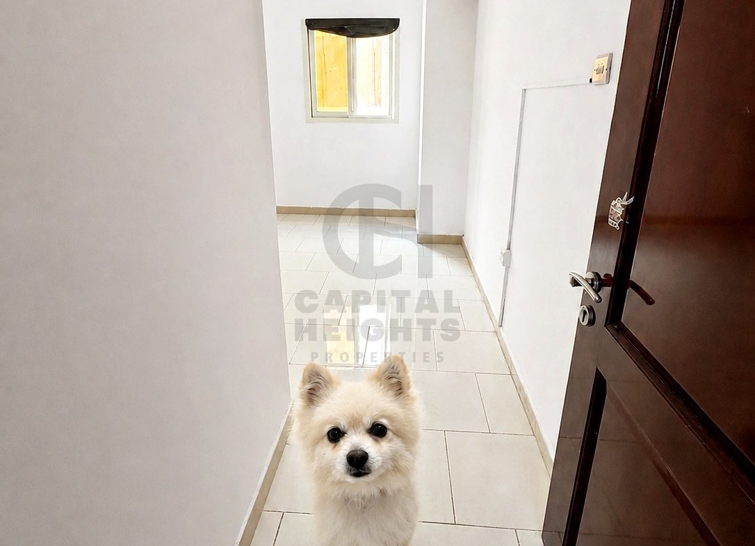 Studio Apartment for Rent in Al Wahdah | Near Al Wahda Mall | Monthly or Yearly | 2019