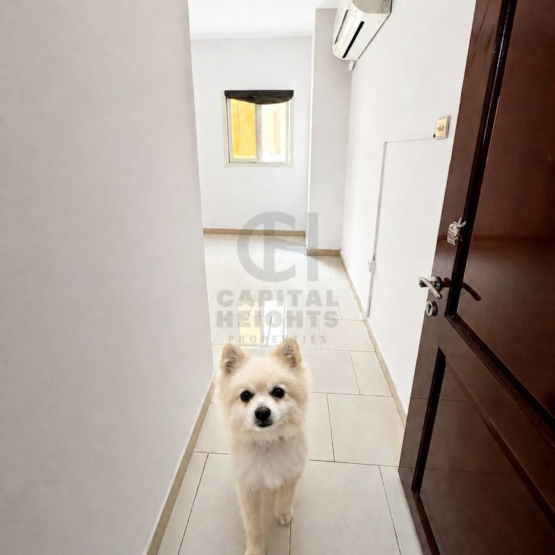 Studio Apartment for Rent in Al Wahdah | Near Al Wahda Mall | Monthly or Yearly | 2019