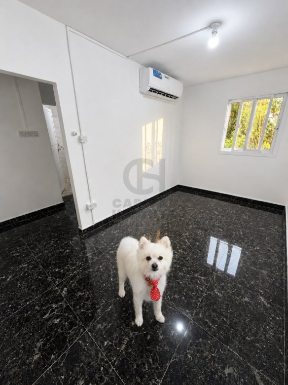 Studio for Rent in Al Bateen | Near Abu Dhabi Chess Academy | Monthly or Yearly | 1356