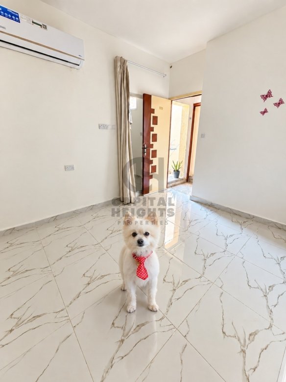 1019-F | Studio for Rent in Al Zaab | Near German International School | Monthly or Yearly