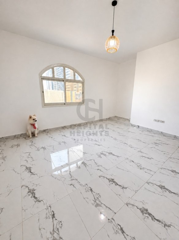 Studio for Rent in Airport Road | Near Al Wahda Mall | Monthly or Yearly | 2214