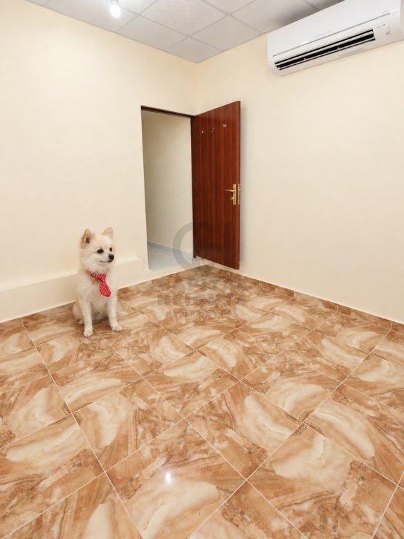 Studio for Rent in Al Zaab | 1 Parking Space | Monthly or Yearly | GG1006