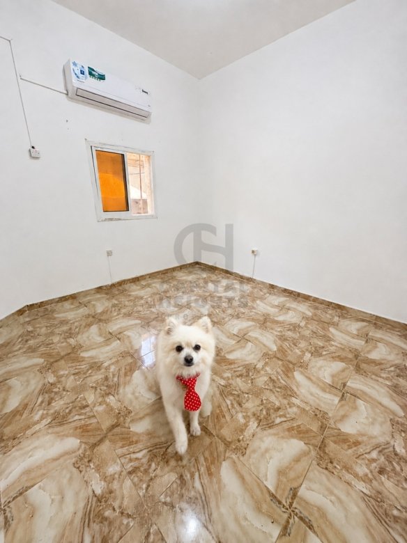 Studio for Rent in Al Mushrif | Near Mushrif Mall | 1 Parking Space | Monthly or Yearly | 0061