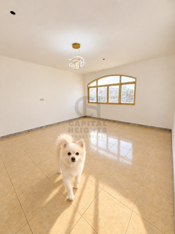 Studio for Rent in Al Mushrif | Near Al Mushrif KG - Charter Schools | Monthly or Yearly | 1171