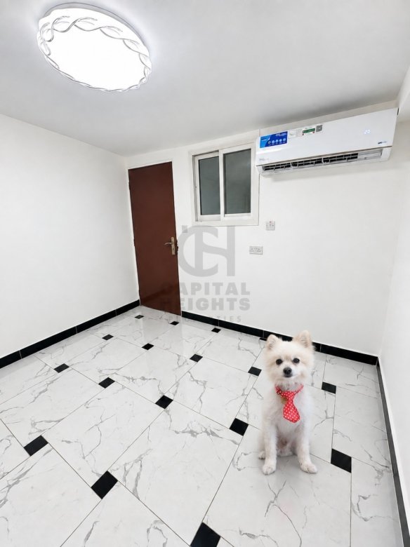 2711-F | Studio for Rent in Al Nahyan | Near Seha Emirates Hospital | Monthly or Yearly