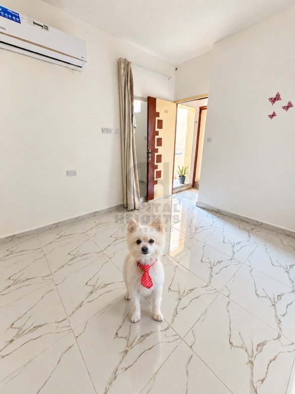 Studio for Rent in Al Zaab | Near German International School | Monthly or Yearly | F1119