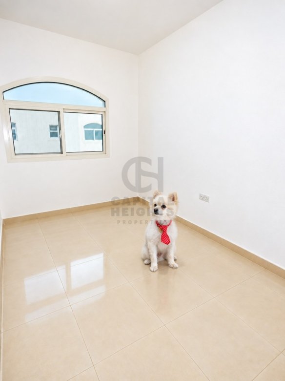 G92-54 | 1 Bedroom for Rent in Al Mushrif | Near Federal Immigrations | Small | 1 Parking Space | Monthly or Yearly