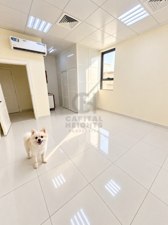 K200-4 | Studio for Rent in Shakhbout City | Near Virginia American School | Monthly or Yearly