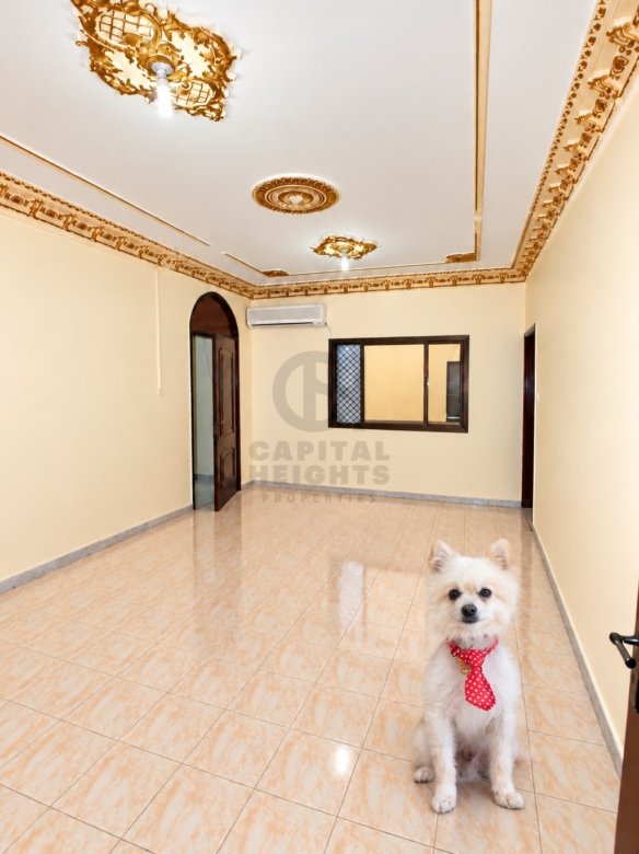 G87-65 | 1 Bedroom for Rent in Al Muroor | Near Abu Dhabi Police College | 1 Parking Space | Monthly or Yearly