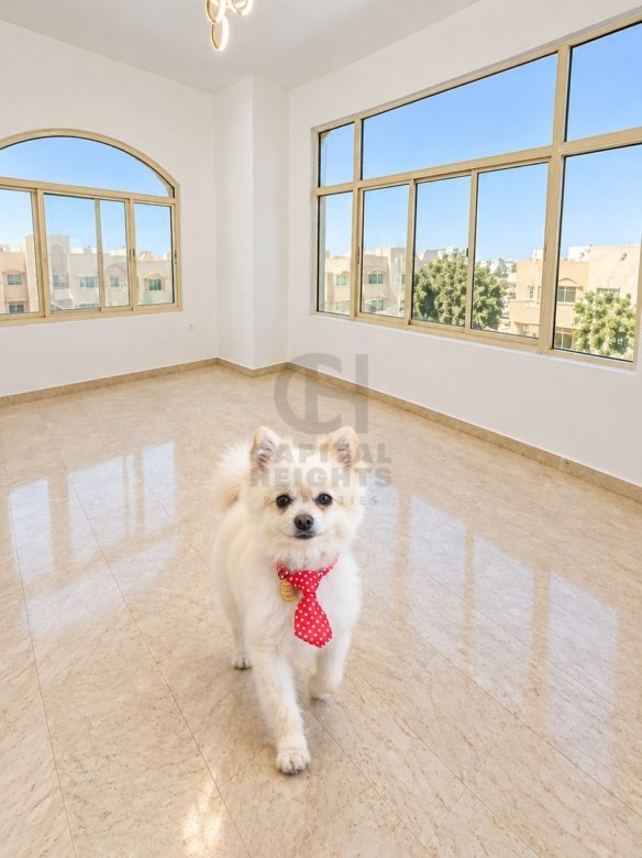 F93-31 | 1 Bedroom for Rent in Al Mushrif | Near Al Mushrif KG - Charter Schools | Monthly or Yearly