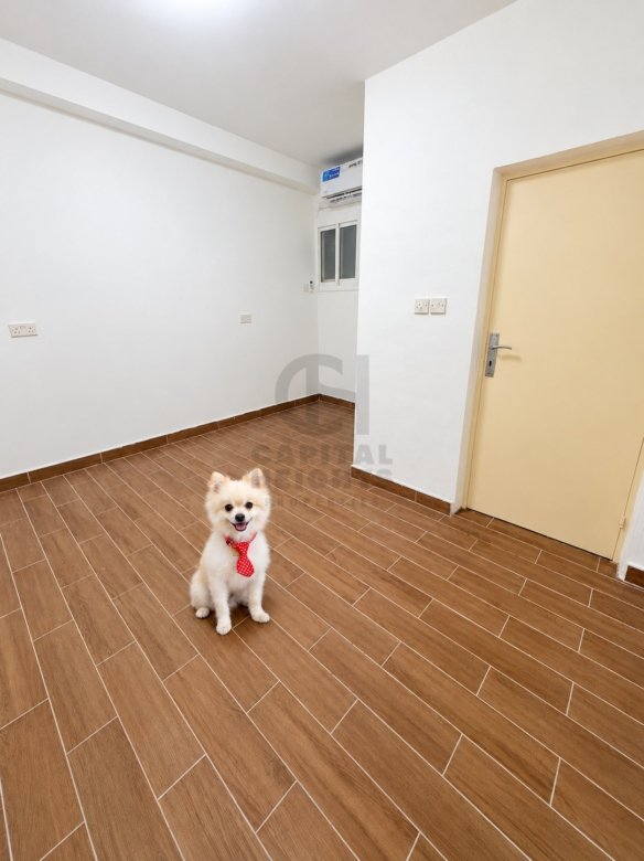 F24-33 | Studio for Rent in Al Bateen | Near Abu Dhabi Chess Academy | Monthly or Yearly