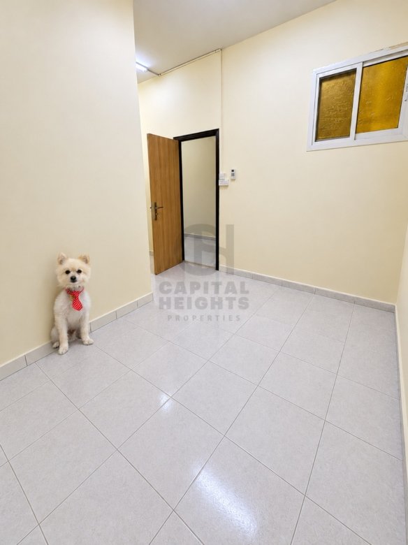D91-3 | Studio for Rent in Al Mushrif | Near Khalifa University | Monthly or Yearly
