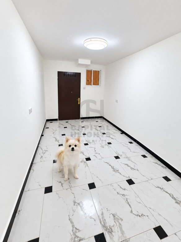 F3-4 | Studio for Rent in Airport Road | Near Al Wahda Mall | Monthly or Yearly